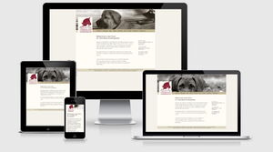 Website Tierärztliches Orthopädie Team Frankfurt, Frankfurt/Main